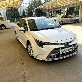Toyota Corolla 2023