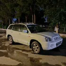 Hyundai Santa Fe 2003