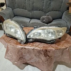 carolla fara halijy