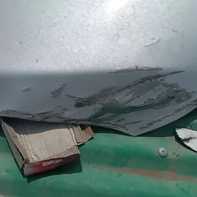Karolla kapodKarolla kapod