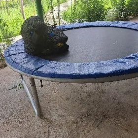 Батут