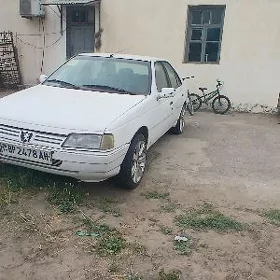 Peugeot 405 2005