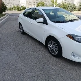 Toyota Corolla 2017