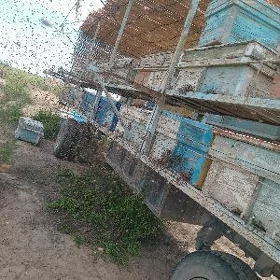 bal ary teleşke bilen