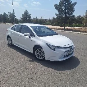 Toyota Corolla 2023