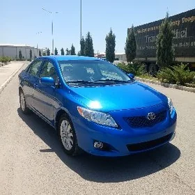 Toyota Corolla 2010