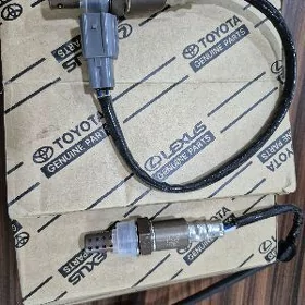 katalizator datcik