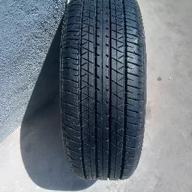 16lyk arginal zapasga
