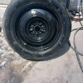 17lik sena zapasga
