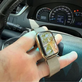 Apple Watch S7 45 Stainless