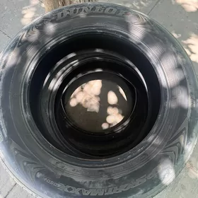 245 60 18  Dunlop