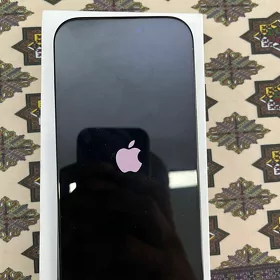 iPhone 16 pro