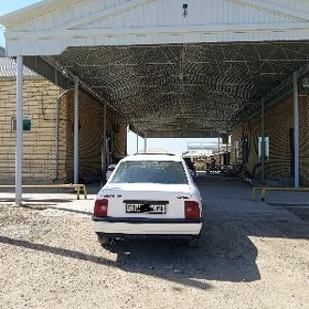 Opel Vectra 1992