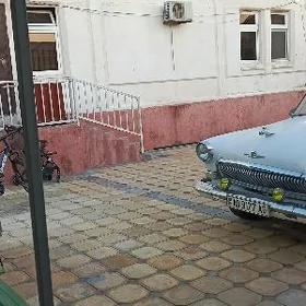 чоганы.катеш