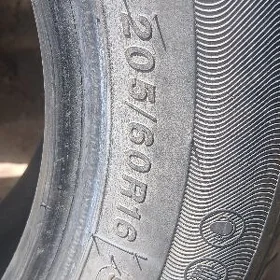 205.60.16