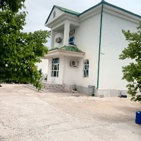 Täze zaman
