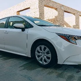 Toyota Corolla 2024
