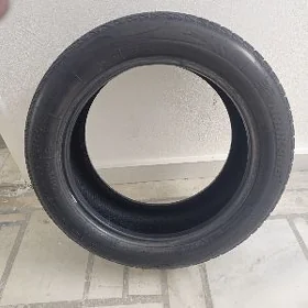 Nankang 225/50/17