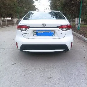 Toyota Corolla 2022