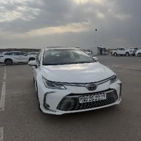 Toyota Corolla 2023
