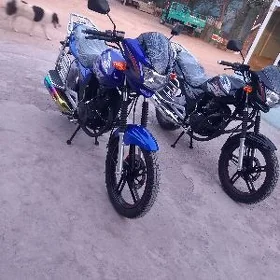 Fekon FK150-8G 2025
