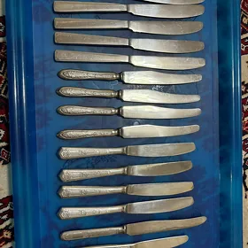 Aşhana pyçak