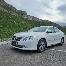 Toyota Camry 2013