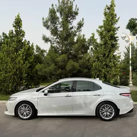 Toyota Camry 2019