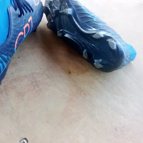 Busi