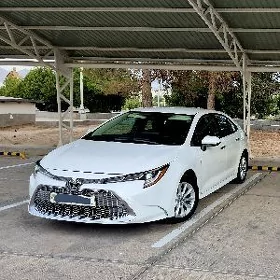 Toyota Corolla 2024