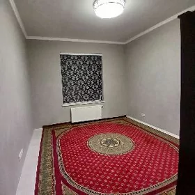 taze gurtly komnat