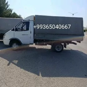 Gazel hyzmat газел услуга