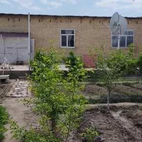 SATLYK DAÇA BERZENKANAL