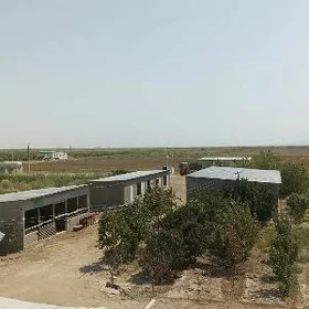 Arçman 55 gektar hususy ÿer
