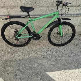 Turkmenistan tigir