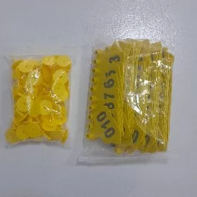 Goyun sygyr