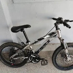 satlyk tigir