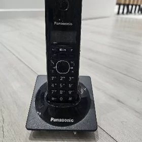 Panasonic Dom trupka