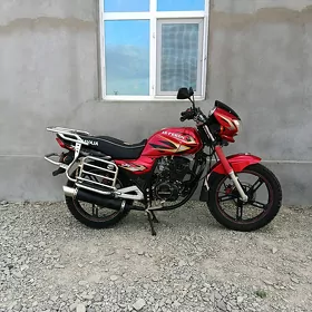 Fekon FK150-8G 2013
