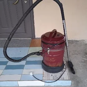 pilesos