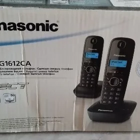 Panasonic