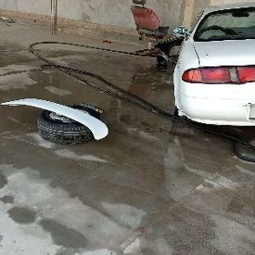 Tayota marino