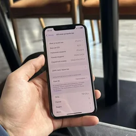 iPhone X