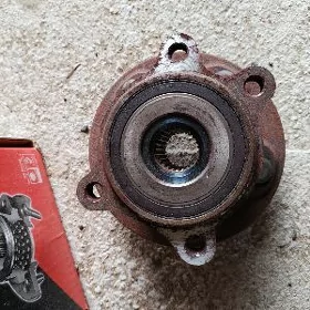 Camry ustipisa pažypnik