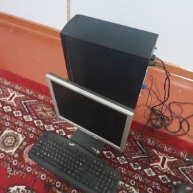 acer