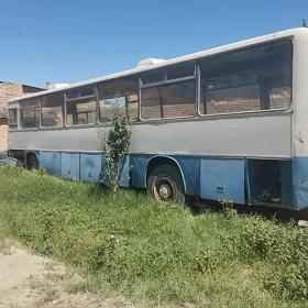 икарус