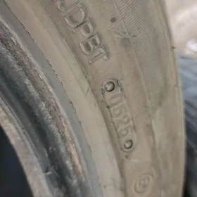 195 55 15