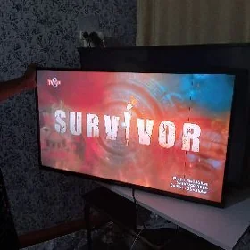 Telewizor
