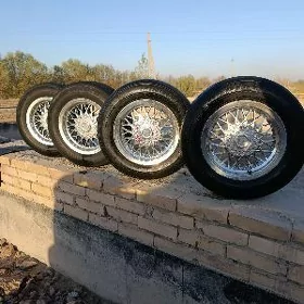 diska pakrişka