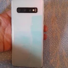 s10